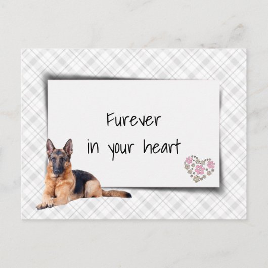 Beileid der Hirten Postkarte (Vorderseite)