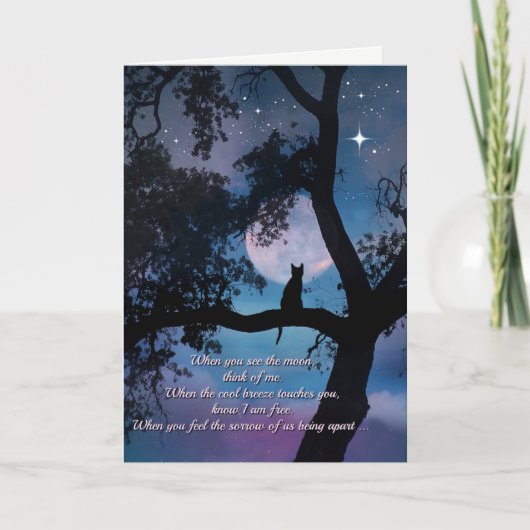 Beileid der Katze, Verlust der Katzen-Karte Karte (Vorderseite)