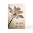 Beileid der weißen Wildblume