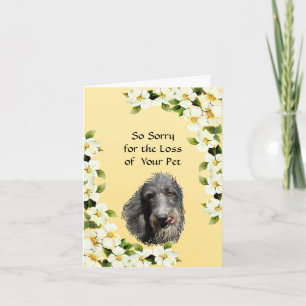 Beileid des Scottish Deerhound und des Hartriegels Karte
