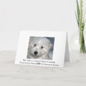 Beileid eines Tieres - Verlust eines Hundes Karte (Rückseite)