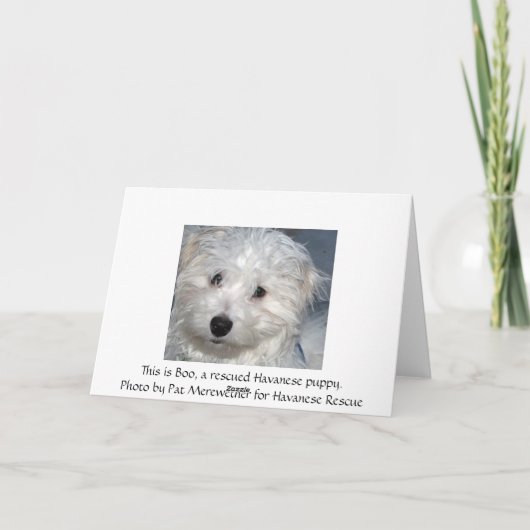 Beileid eines Tieres - Verlust eines Hundes Karte (Rückseite)