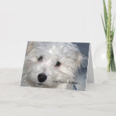 Beileid eines Tieres - Verlust eines Hundes Karte (Vorderseite)