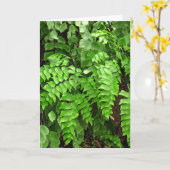 Beileid - Farne Karte (Gelbe Blume)