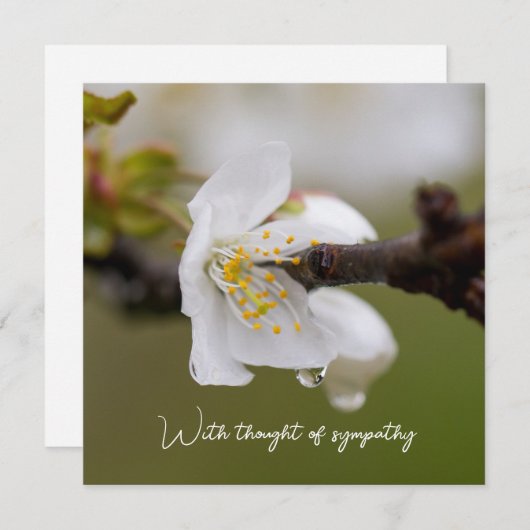 Beileid-Flachkarte (Vorne/Hinten)