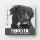 Beileid--Foto Fotoplatte (Vorderseite)