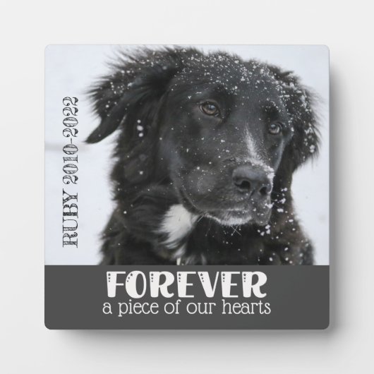 Beileid--Foto Fotoplatte (Vorderseite)