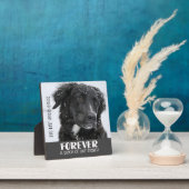 Beileid--Foto Fotoplatte (InSitu)