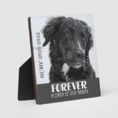 Beileid--Foto Fotoplatte (Vorderseite)