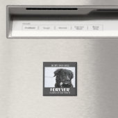 Beileid--Foto Magnet (In Situ (Geschirrspüler))