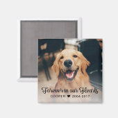 Beileid--Foto Magnet (Vorderseite/Rückseite)