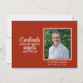 Beileid Funeral DANK IHNEN Kardinal Bird | FOTO Dankeskarte (Rückseite)