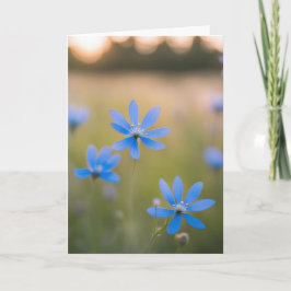 Beileid für blaue Wildblumen Karte