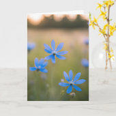Beileid für blaue Wildblumen Karte (Gelbe Blume)