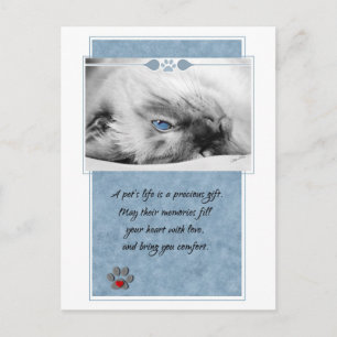 Beileid für das Veterinäramt Katze Postkarte