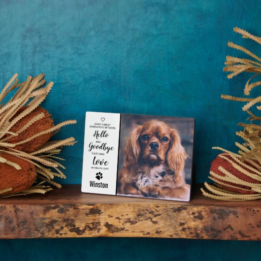 Beileid für den Hundegedankengedanken - Kostenvora Fotoplatte (Seite)