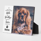 Beileid für den Hundegedankengedanken - Kostenvora Fotoplatte (Seite)