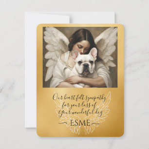 Beileid für den Loss White French Bulldog Angel Ar