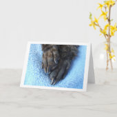 Beileid für den Verlust von Pfotenpfoten Karte (Gelbe Blume)