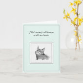 Beileid für eine Mainstream-Coon-Cat-Karte Karte (Gelbe Blume)