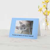 Beileid für Haustiere: Verlust von Cat Grußkarten Karte (Gelbe Blume)