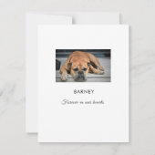 Beileid für Haustiere Vielen Dank Reaktion Foto Fl Dankeskarte (Rückseite)