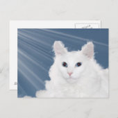 Beileid für Katzen Postkarte (Vorne/Hinten)