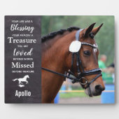 Beileid für Pferdejäger - für Pferde - Foto Fotoplatte (Vorderseite)