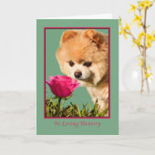 Beileid, Haustier, Spitz-Hund und Rosen-Karte Karte (Gelbe Blume)