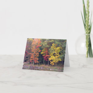 Beileid - Herbst und See Karte