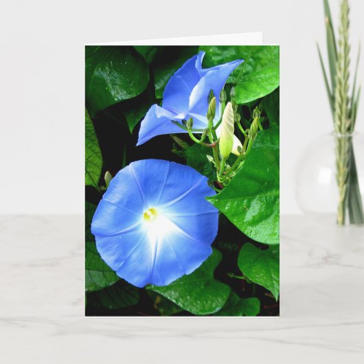 Beileid - Himmlischer Blue Morning Glory Karte (Vorderseite)