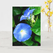 Beileid - Himmlischer Blue Morning Glory Karte (Gelbe Blume)