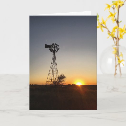 Beileid Karte (Gelbe Blume)