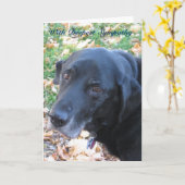 Beileid Karte (Gelbe Blume)