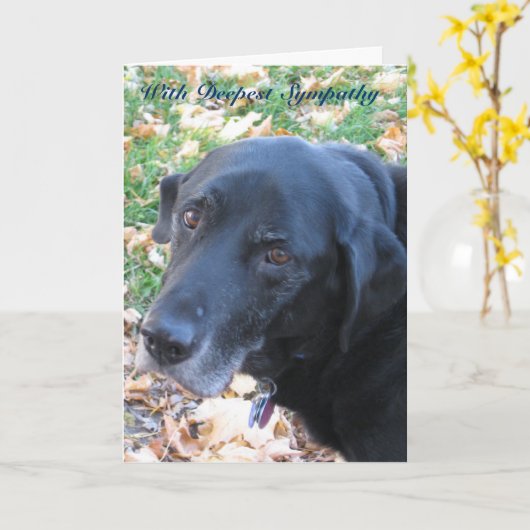 Beileid Karte (Gelbe Blume)