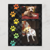 Beileid-Karte für den Lotterieverlust (Rückseite)