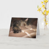 Beileid - Katze Karte (Gelbe Blume)