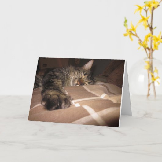 Beileid - Katze Karte (Gelbe Blume)