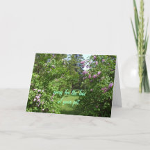 Beileid-lilac Bush
