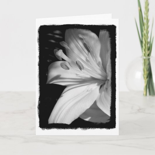 Beileid Lily Card Karte (Vorderseite)