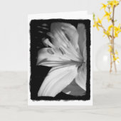 Beileid Lily Card Karte (Gelbe Blume)