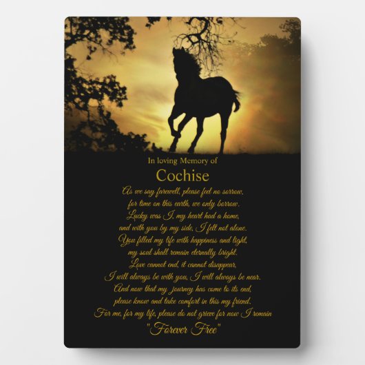 Beileid Memorial Individuelle Name Fotoplatte (Vorderseite)