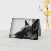 Beileid "Pet Loss" Karte (Gelbe Blume)