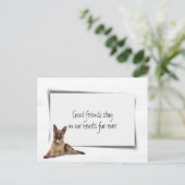 Beileid Pet Loss Postkarte (Stehend Vorderseite)