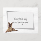 Beileid Pet Loss Postkarte (Vorderseite)