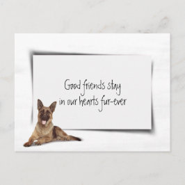 Beileid Pet Loss Postkarte