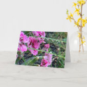 Beileid rosa Dianthus mit Wassertropfen Karte (Gelbe Blume)
