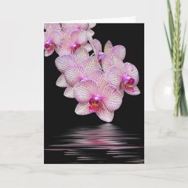 Beileid Rosa Orchideen Schwarze Reflektion Karte