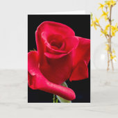 BEILEID ROSE GREETKARTE KARTE (Gelbe Blume)