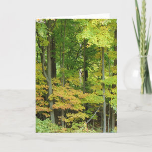 Beileid - ruhiger Wald Karte